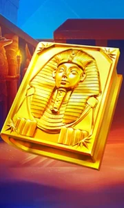 Book of Gold Multichance